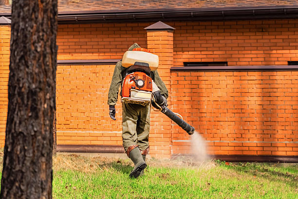 Bed Bug Clearance Verification and Documentation in Barnhart